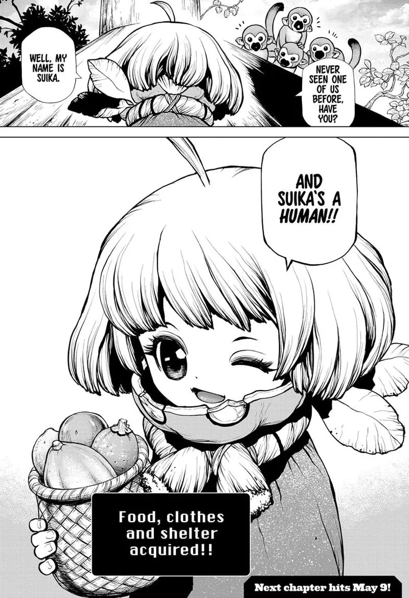 Dr. Stone Chapter 194 page 18