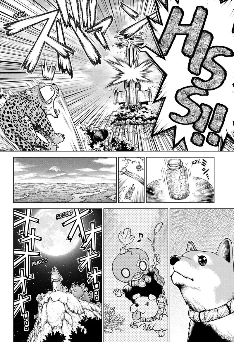 Dr. Stone Chapter 194 page 4