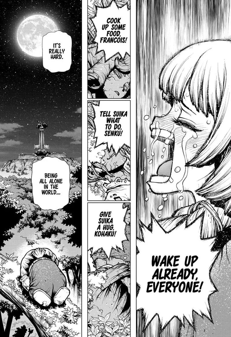 Dr. Stone Chapter 194 page 13