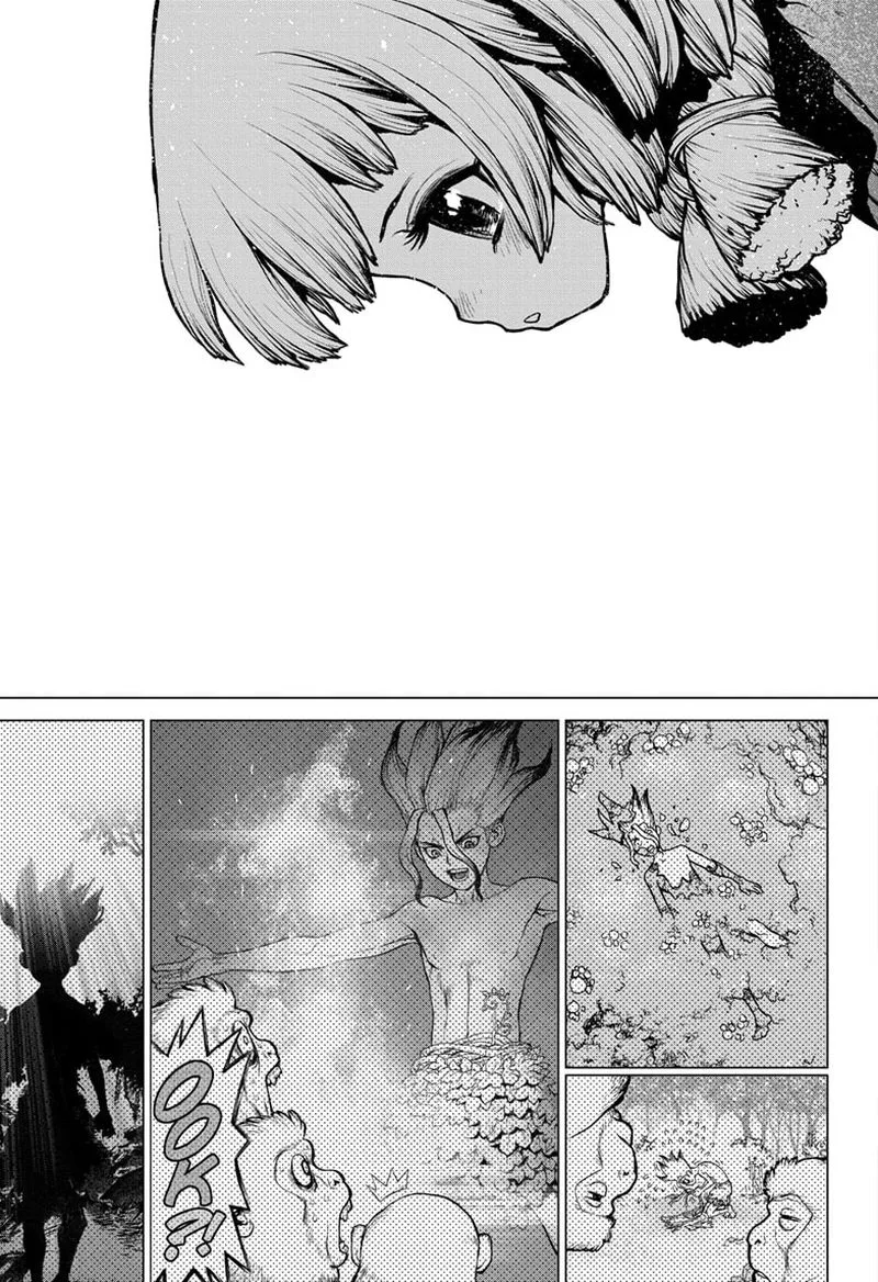 Dr. Stone Chapter 194 page 14
