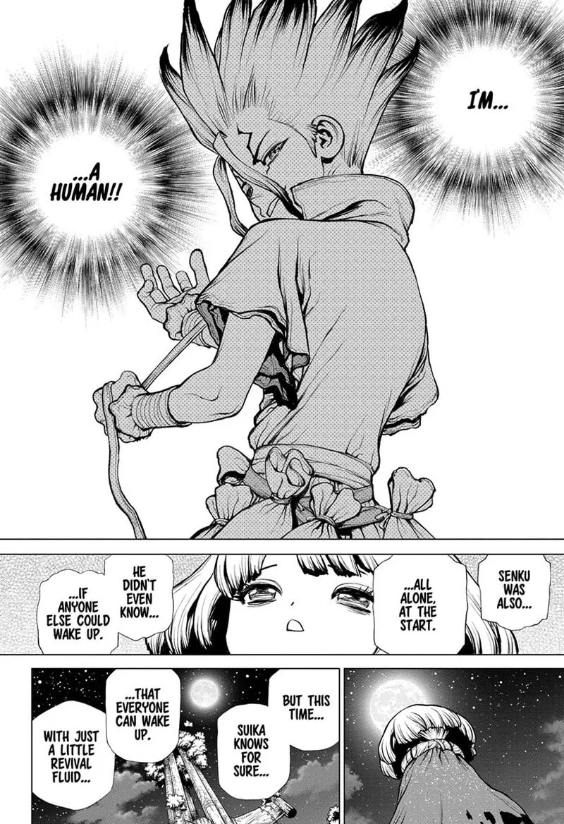 Dr. Stone Chapter 194 page 15