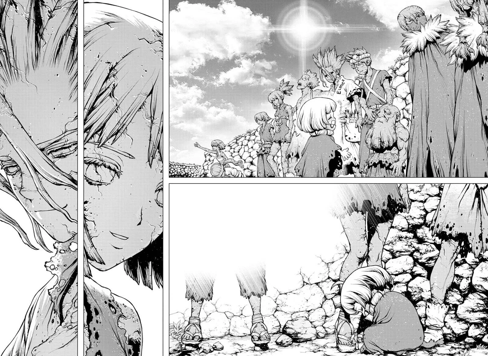 Dr. Stone Chapter 195 page 13