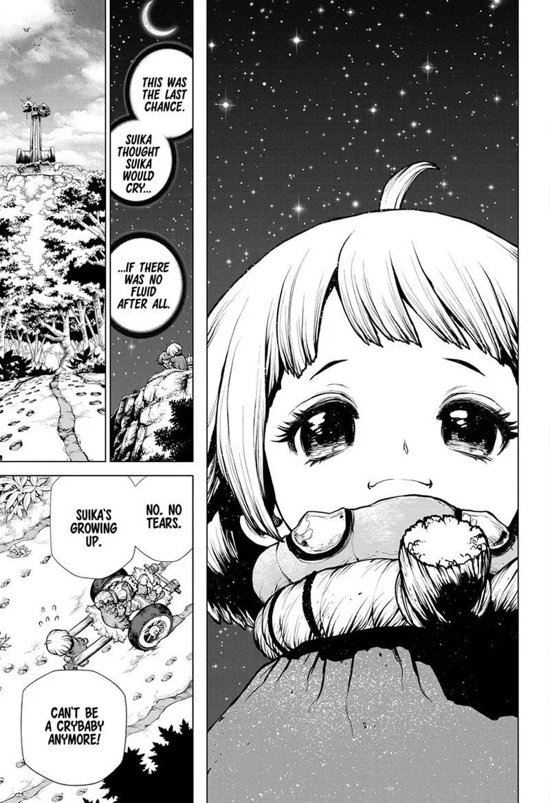 Dr. Stone Chapter 195 page 12