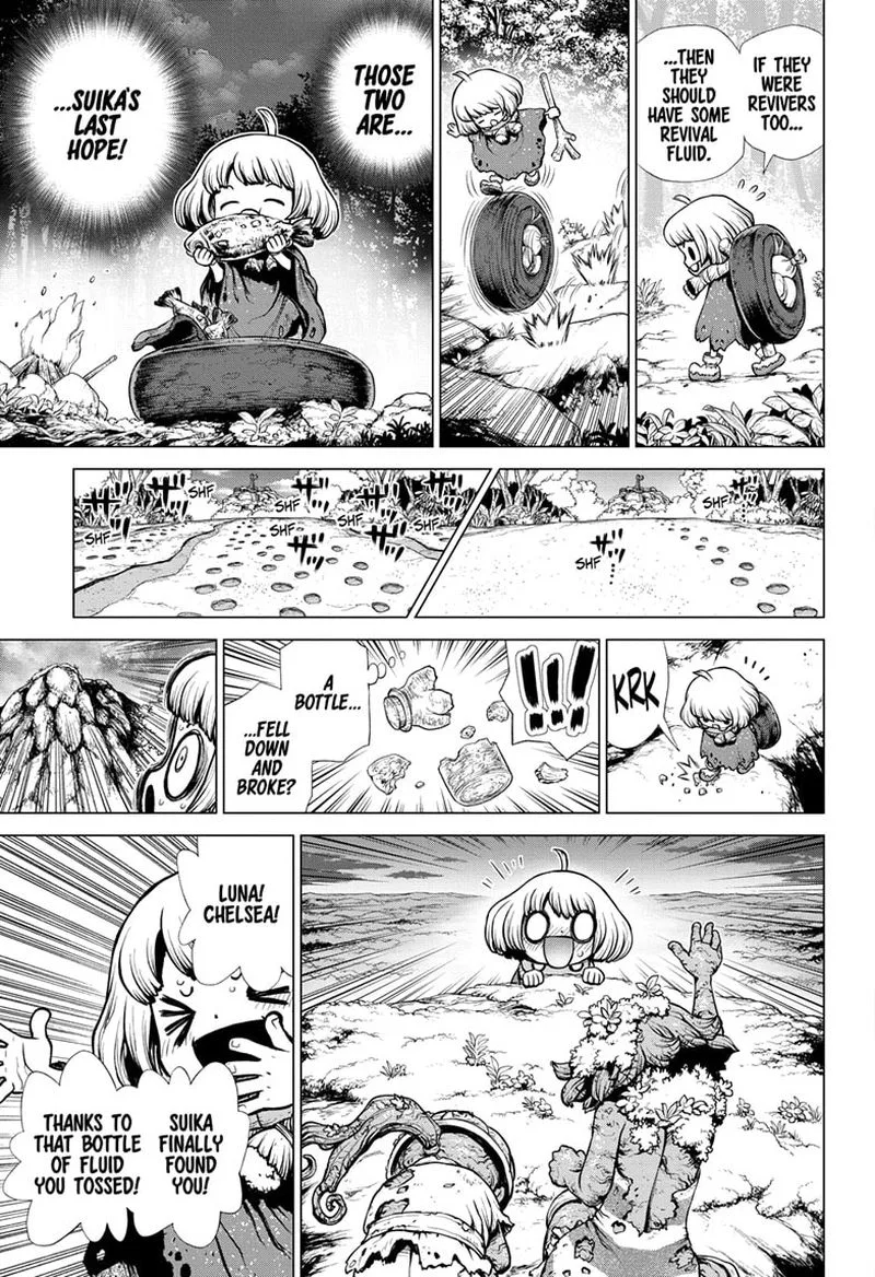 Dr. Stone Chapter 195 page 10