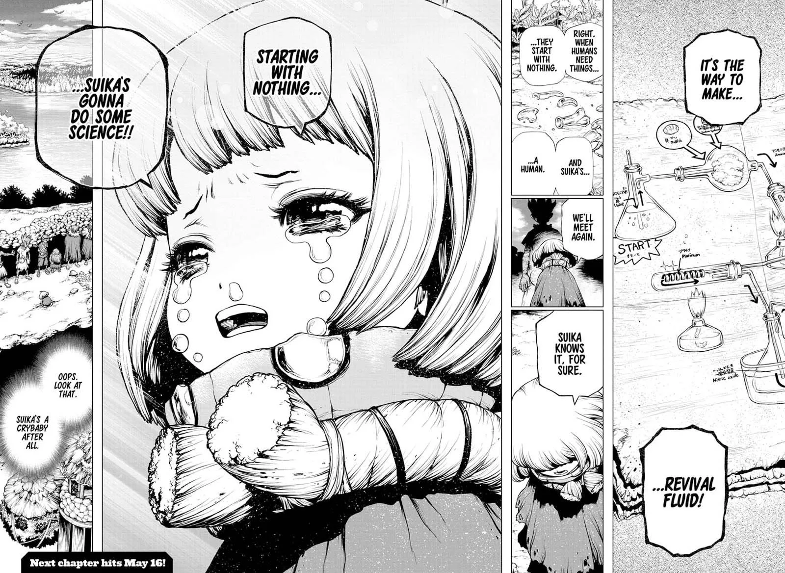 Dr. Stone Chapter 195 page 16