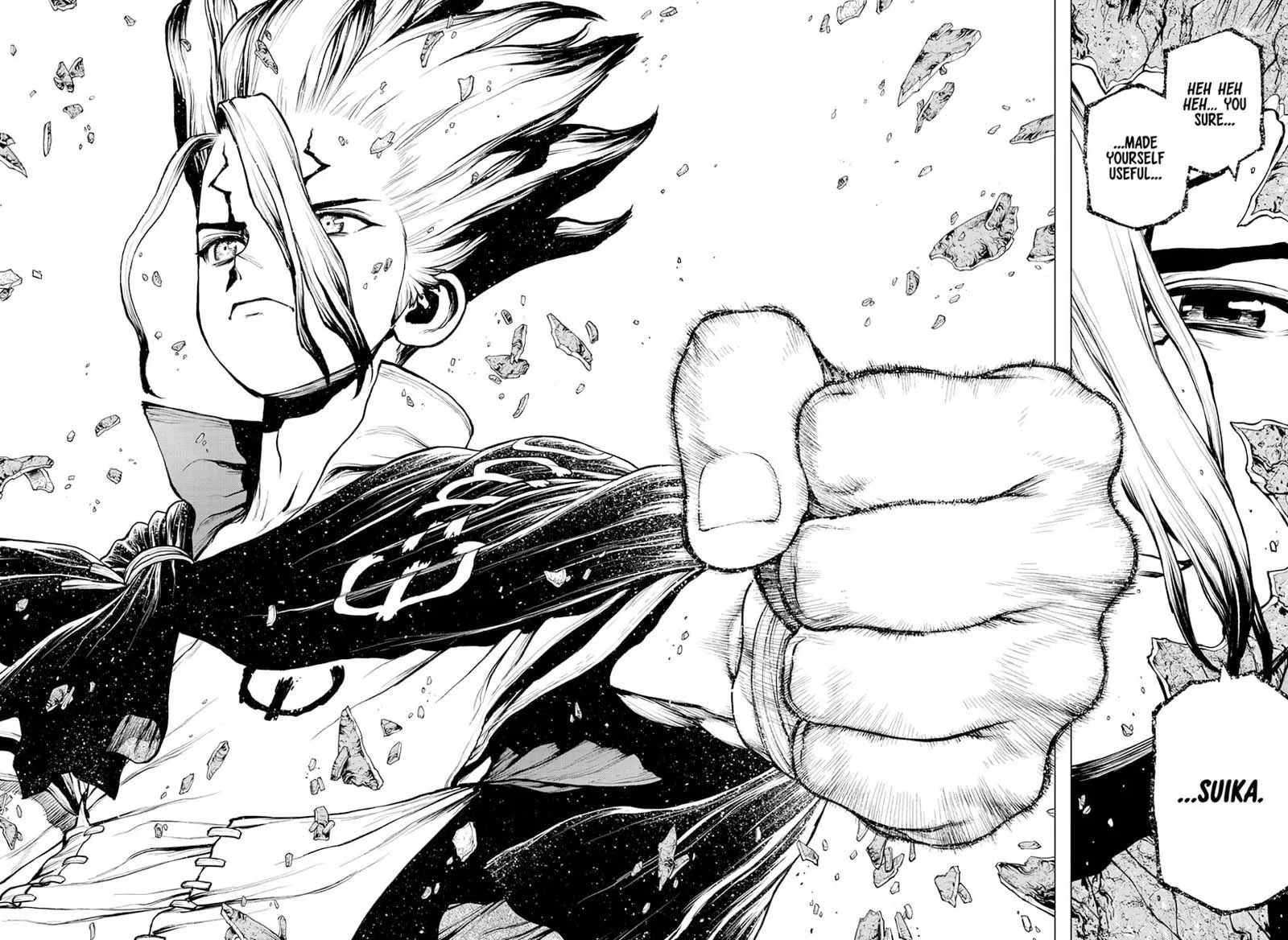 Dr. Stone Chapter 196 page 17