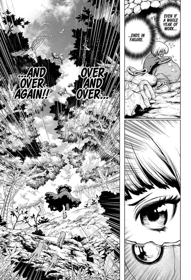 Dr. Stone Chapter 196 page 13