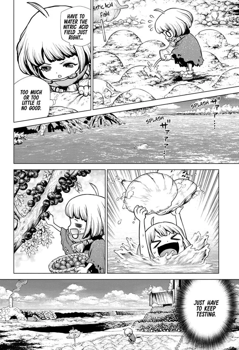 Dr. Stone Chapter 196 page 12