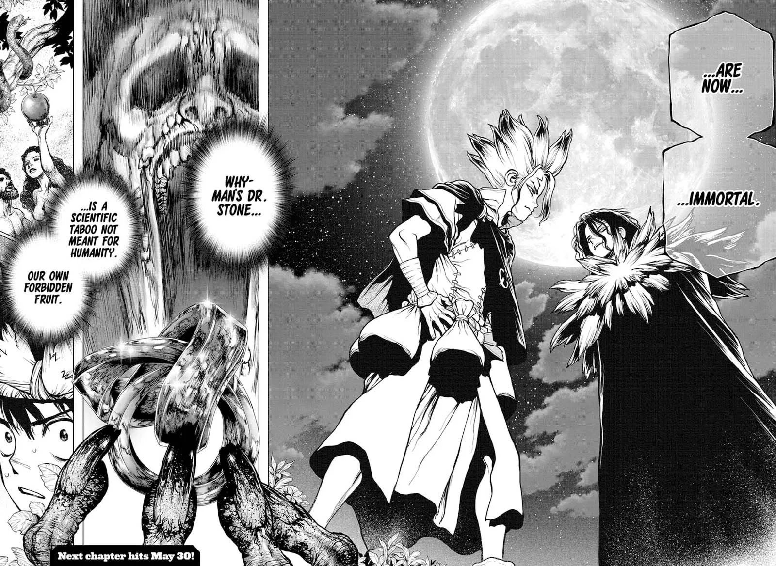 Dr. Stone Chapter 197 page 17