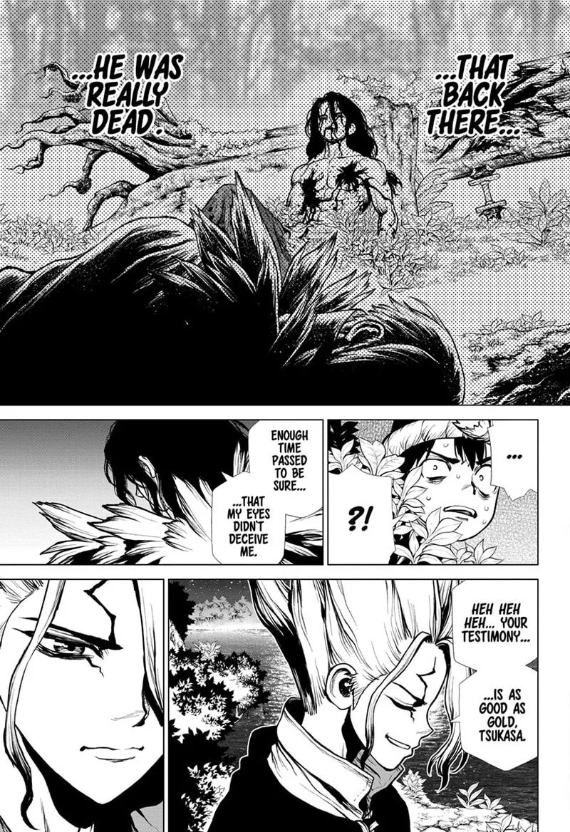 Dr. Stone Chapter 197 page 15