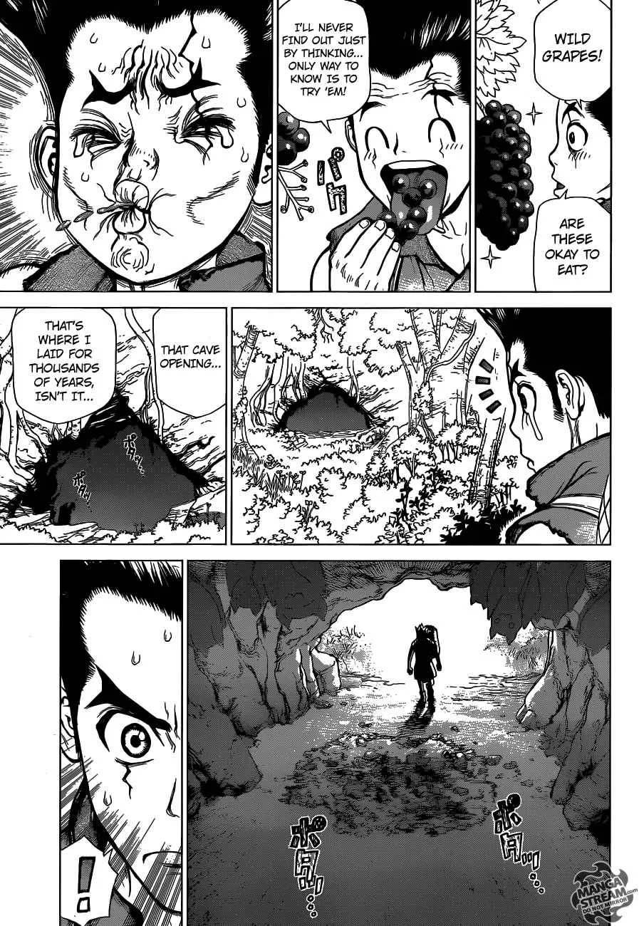 Dr. Stone Chapter 2 page 5