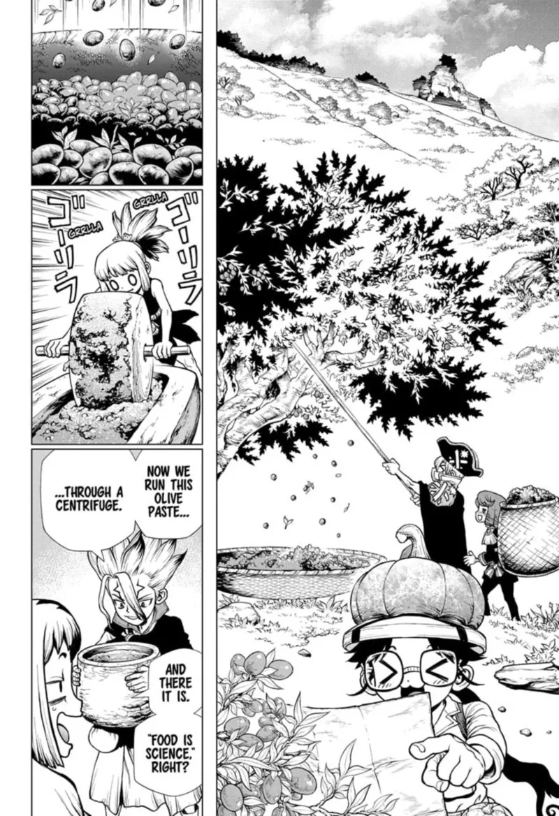 Dr. Stone Chapter 202 page 5