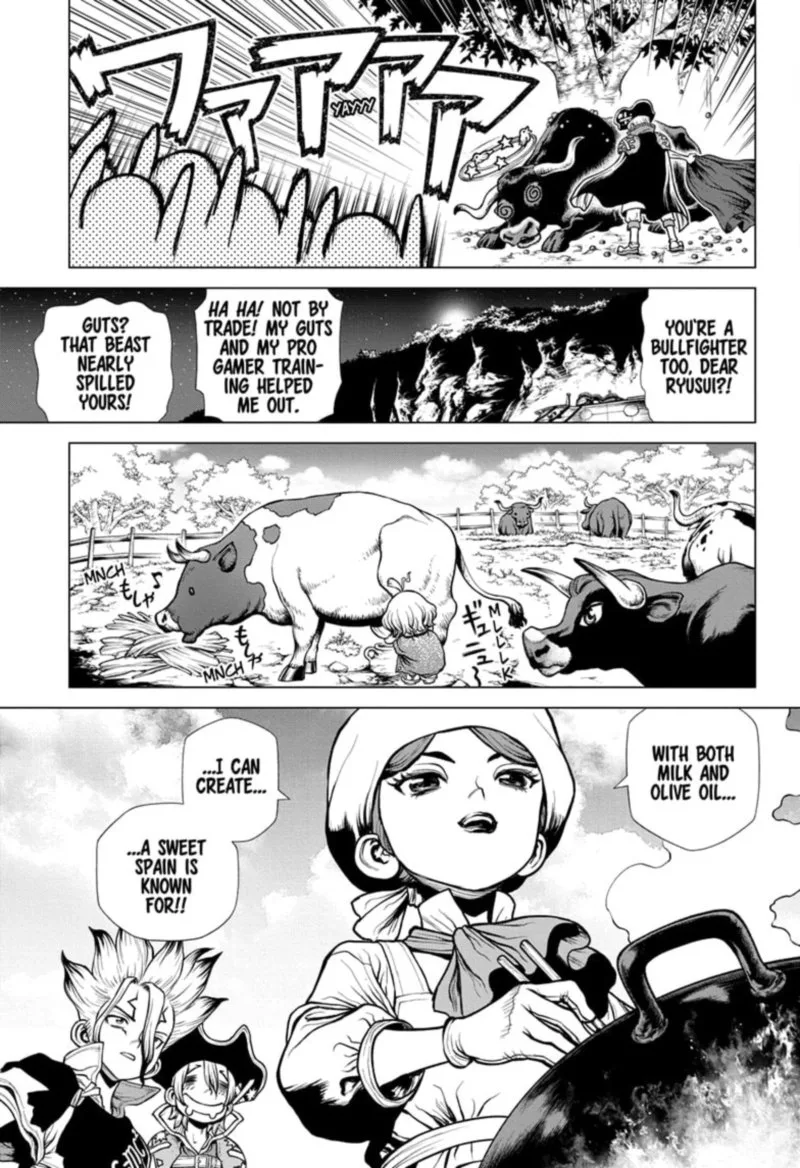 Dr. Stone Chapter 202 page 12