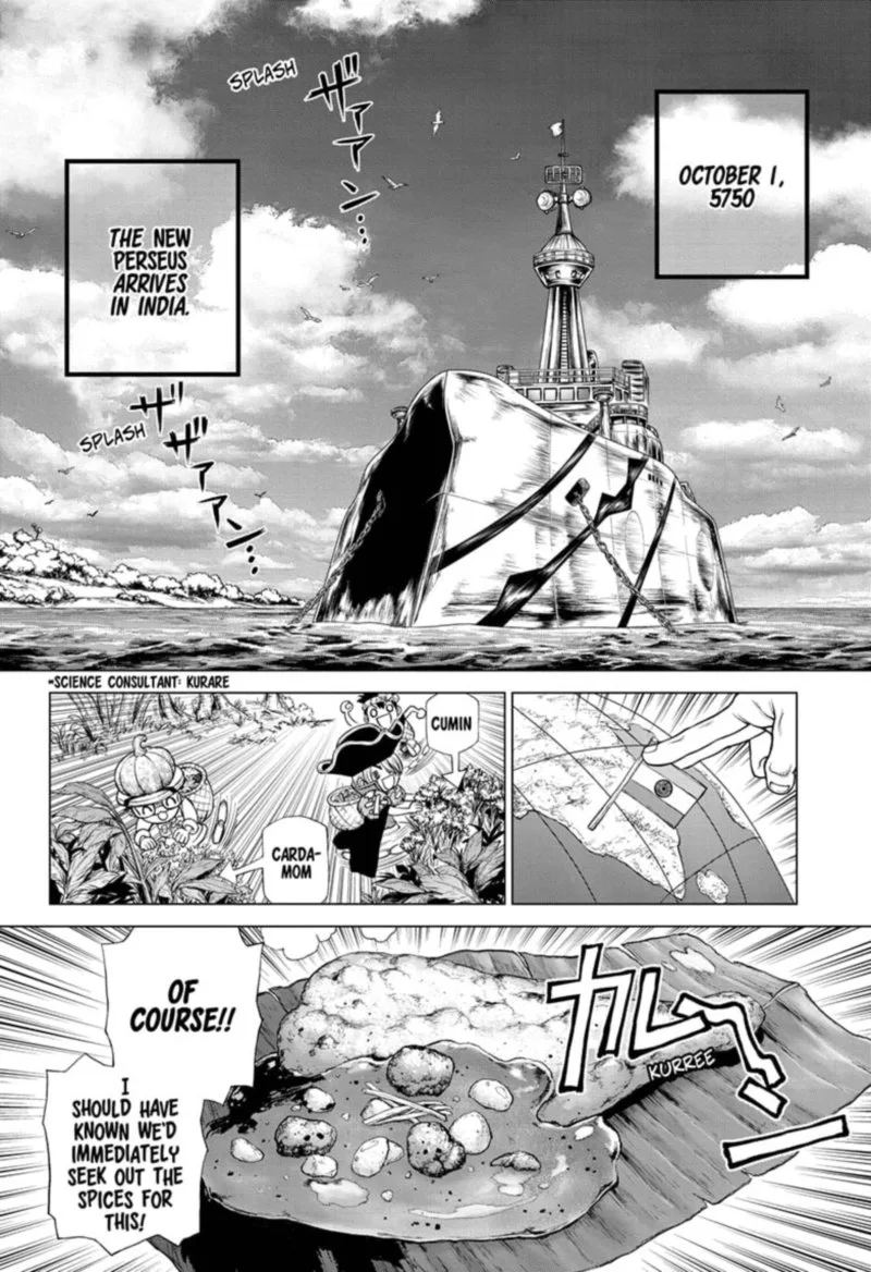 Dr. Stone Chapter 204 page 8
