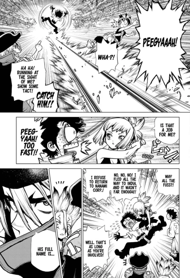 Dr. Stone Chapter 204 page 15