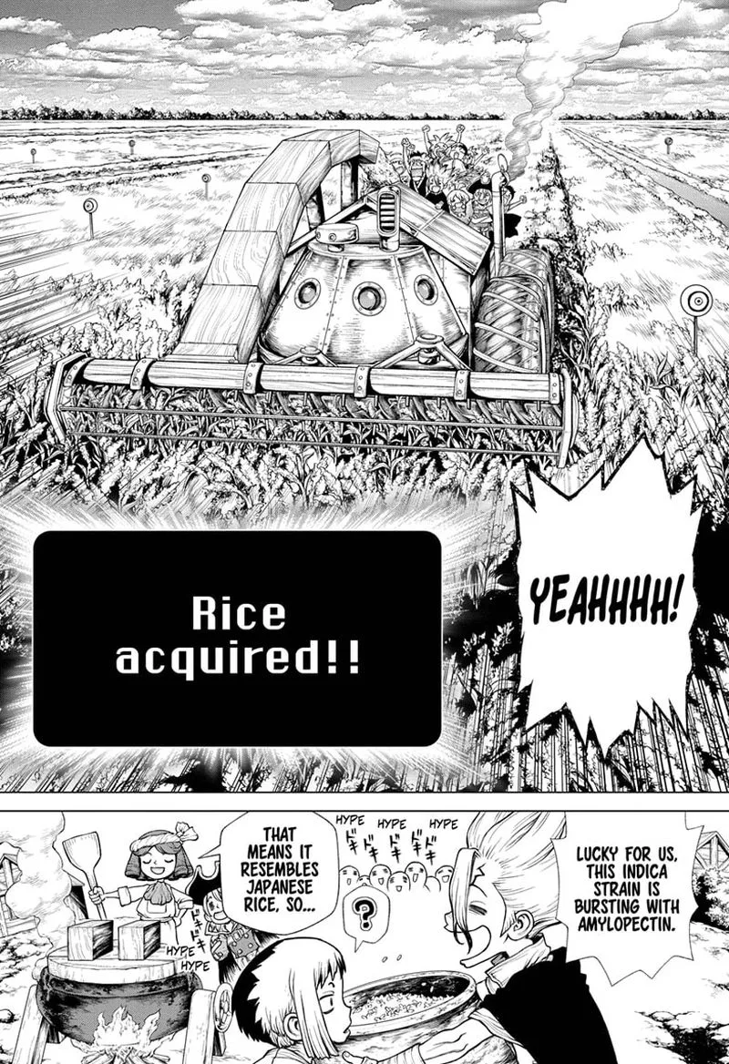 Dr. Stone Chapter 211 page 12