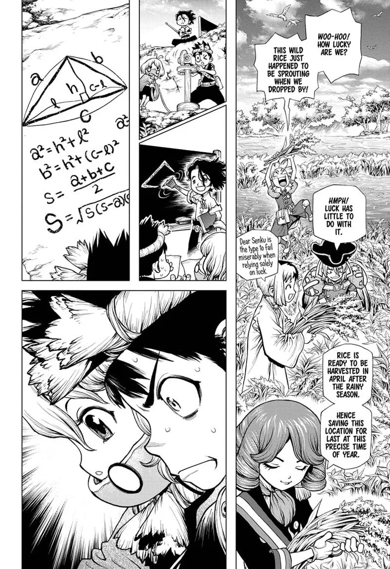 Dr. Stone Chapter 211 page 8