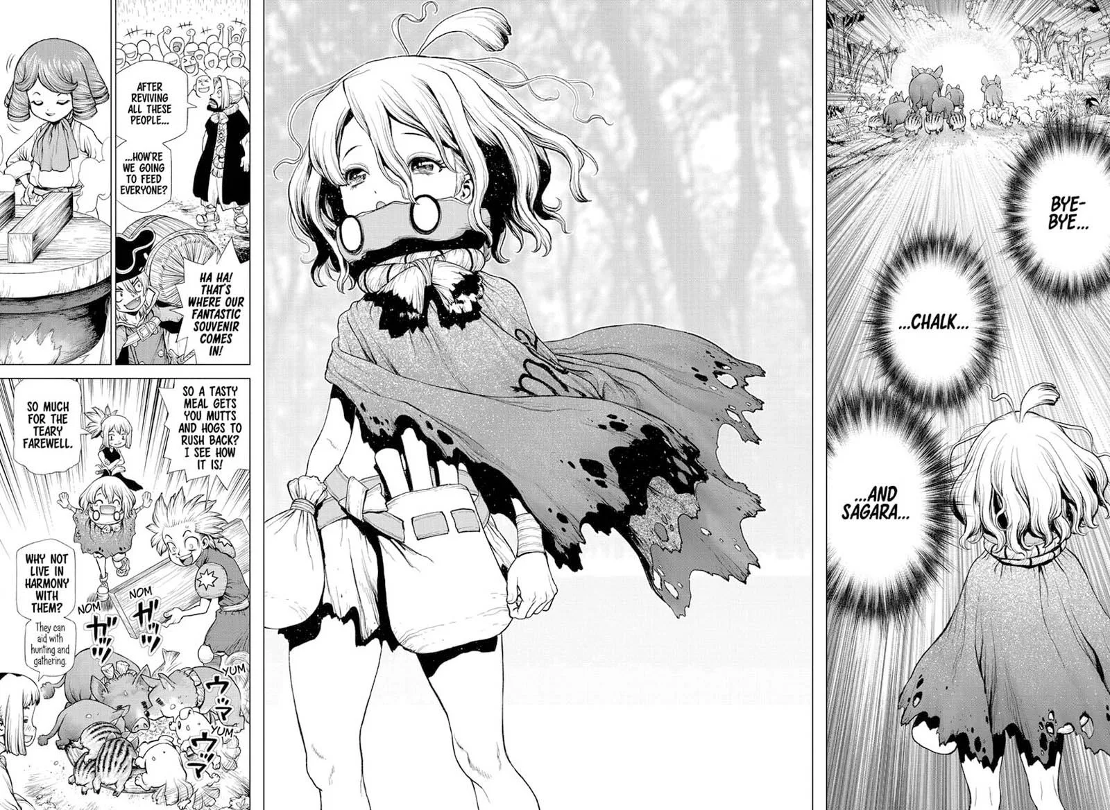 Dr. Stone Chapter 212 page 13