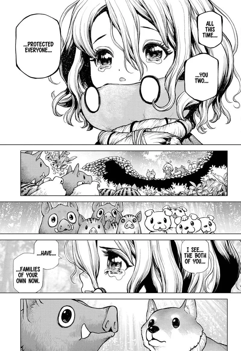 Dr. Stone Chapter 212 page 12