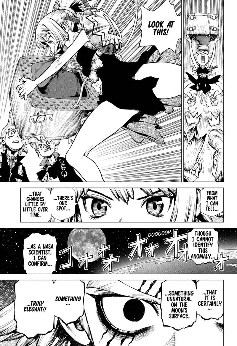 Dr. Stone Chapter 216 page 14