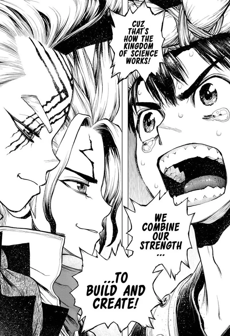 Dr. Stone Chapter 217 page 11