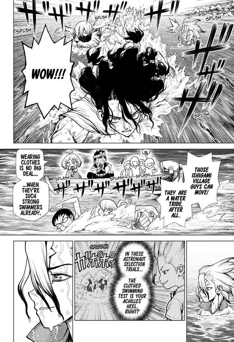 Dr. Stone Chapter 219 page 8