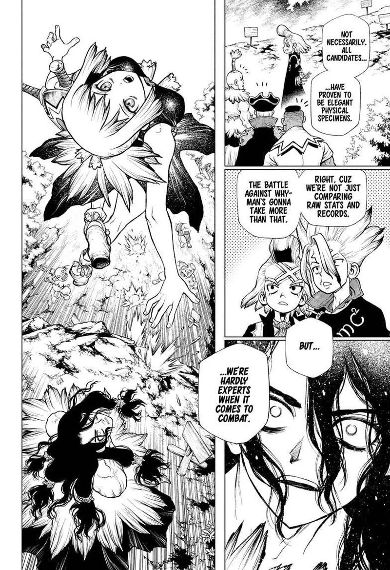 Dr. Stone Chapter 219 page 12
