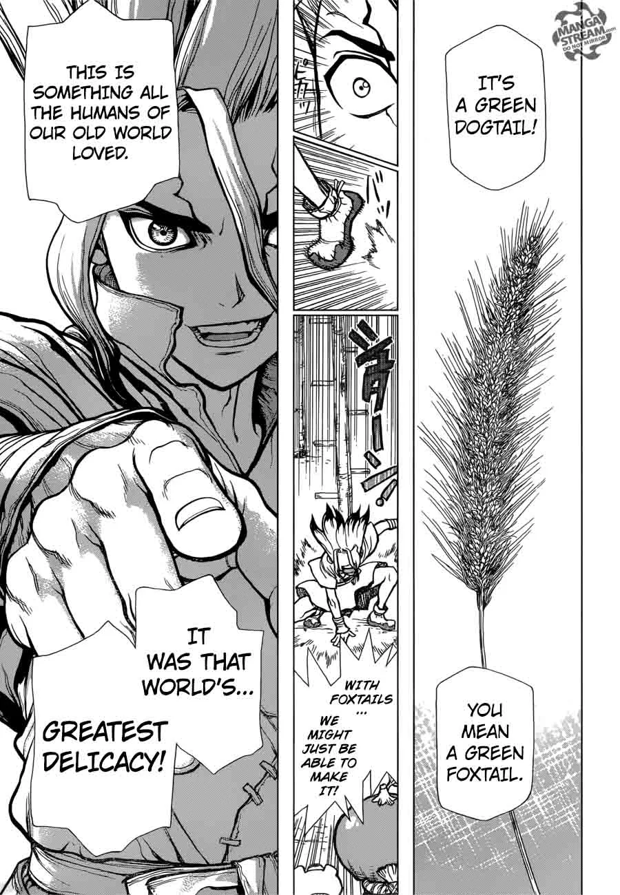 Dr. Stone Chapter 22 page 9