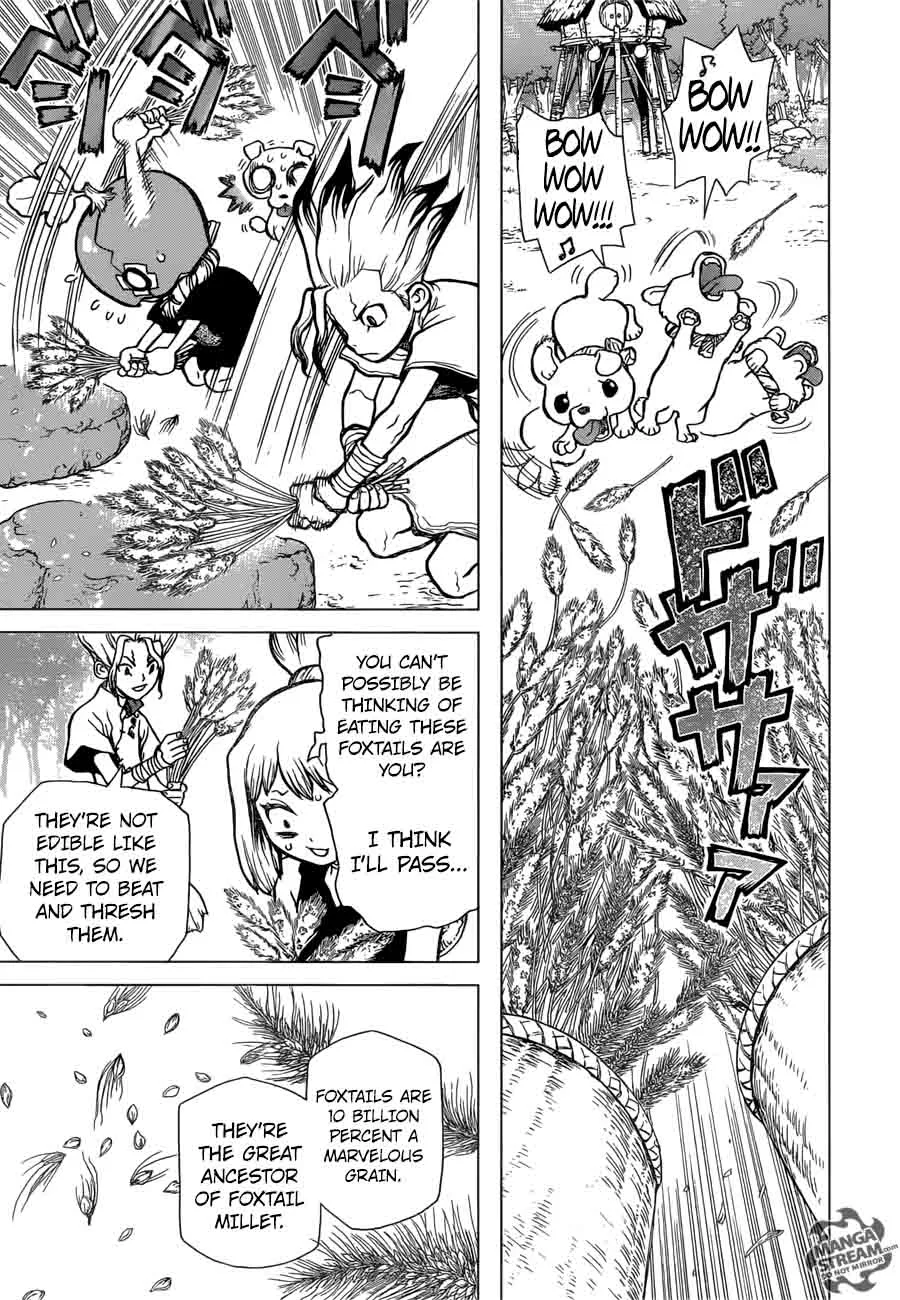 Dr. Stone Chapter 22 page 11