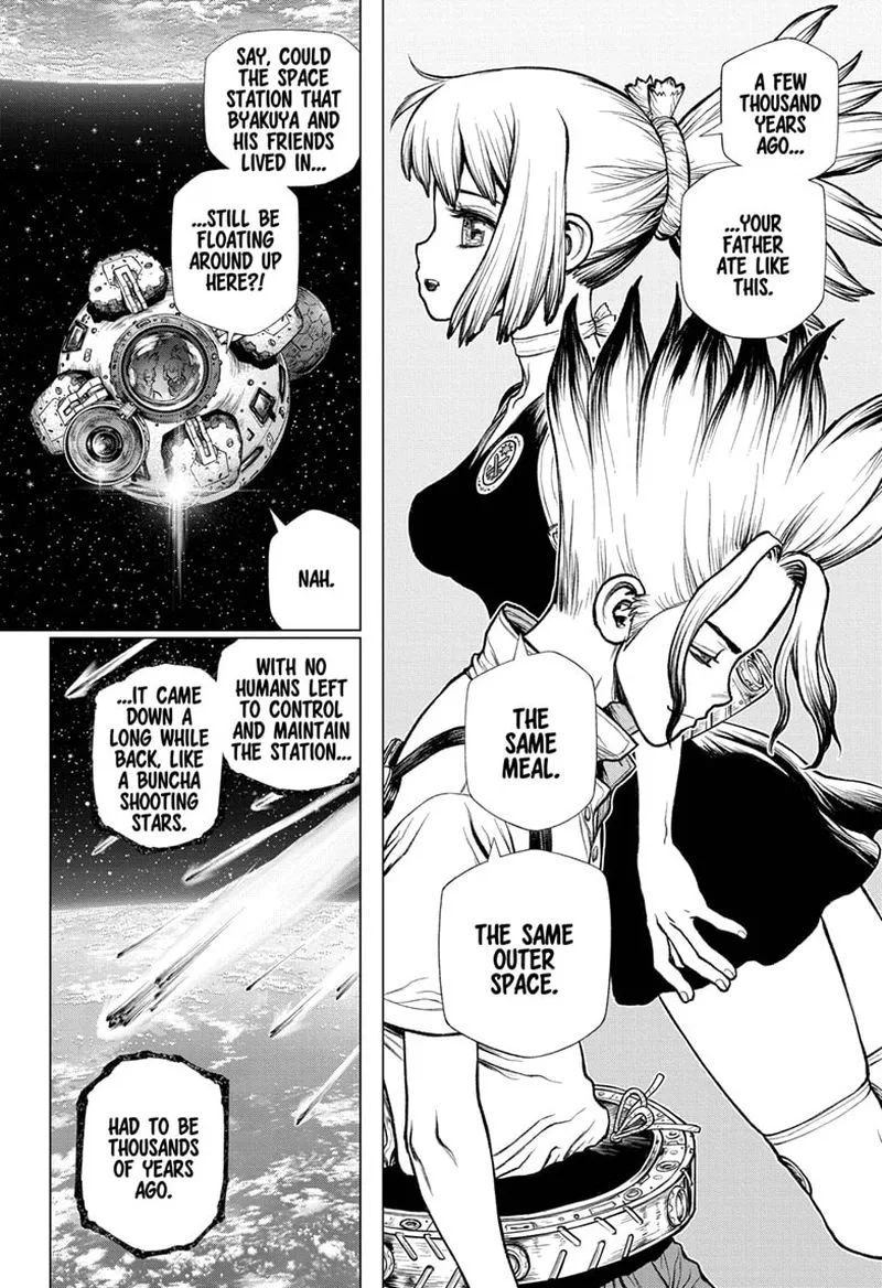 Dr. Stone Chapter 224 page 14