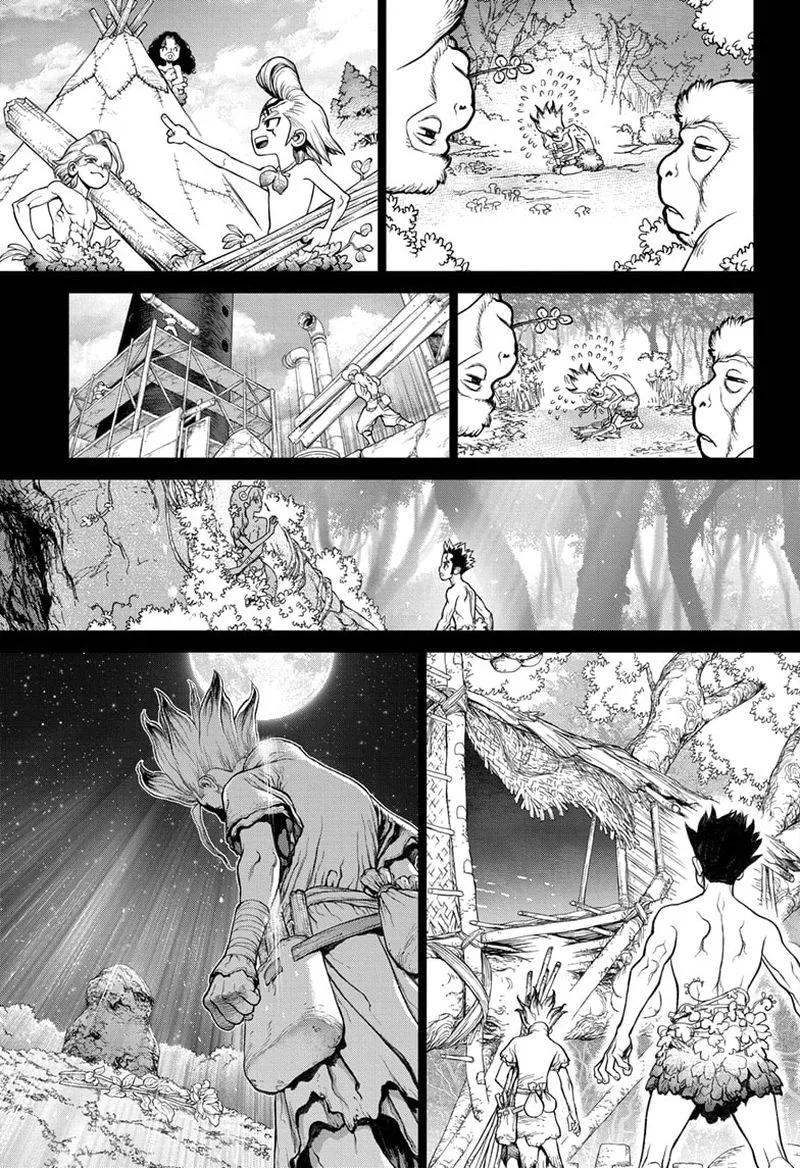 Dr. Stone Chapter 229 page 14