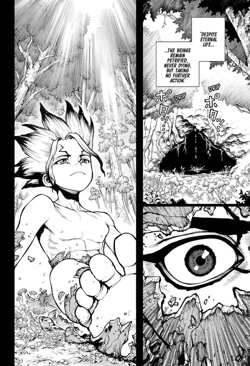 Dr. Stone Chapter 229 page 13