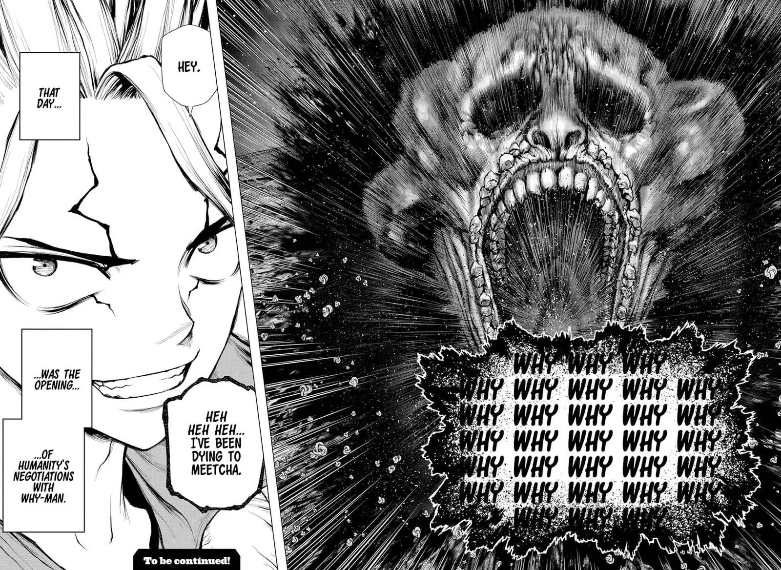 Dr. Stone Chapter 229 page 17