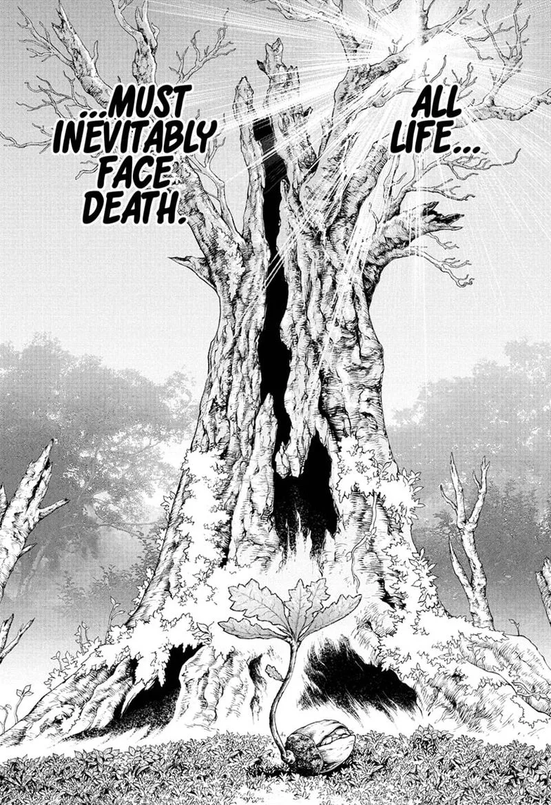 Dr. Stone Chapter 230 page 1