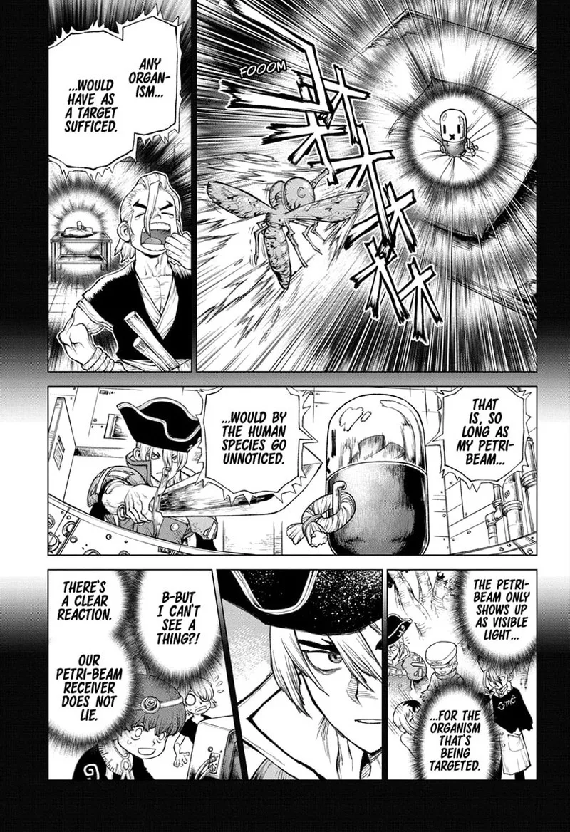 Dr. Stone Chapter 232.8 page 13