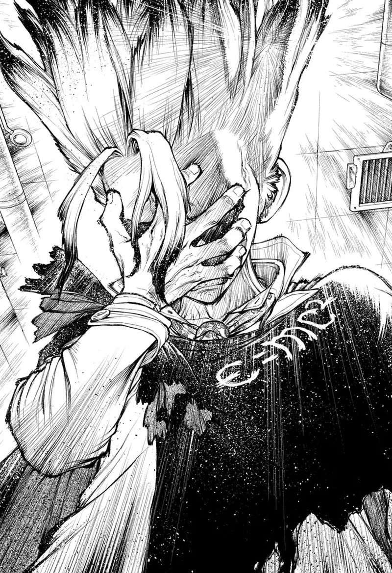 Dr. Stone Chapter 232.8 page 17