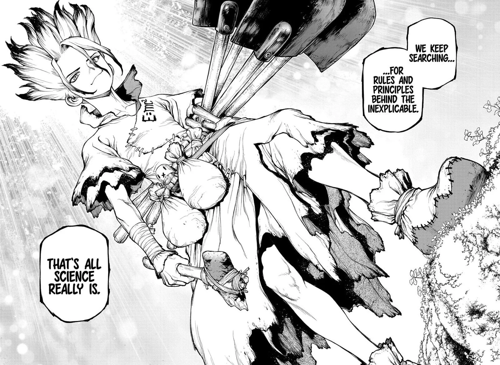 Dr. Stone Chapter 232.8 page 39