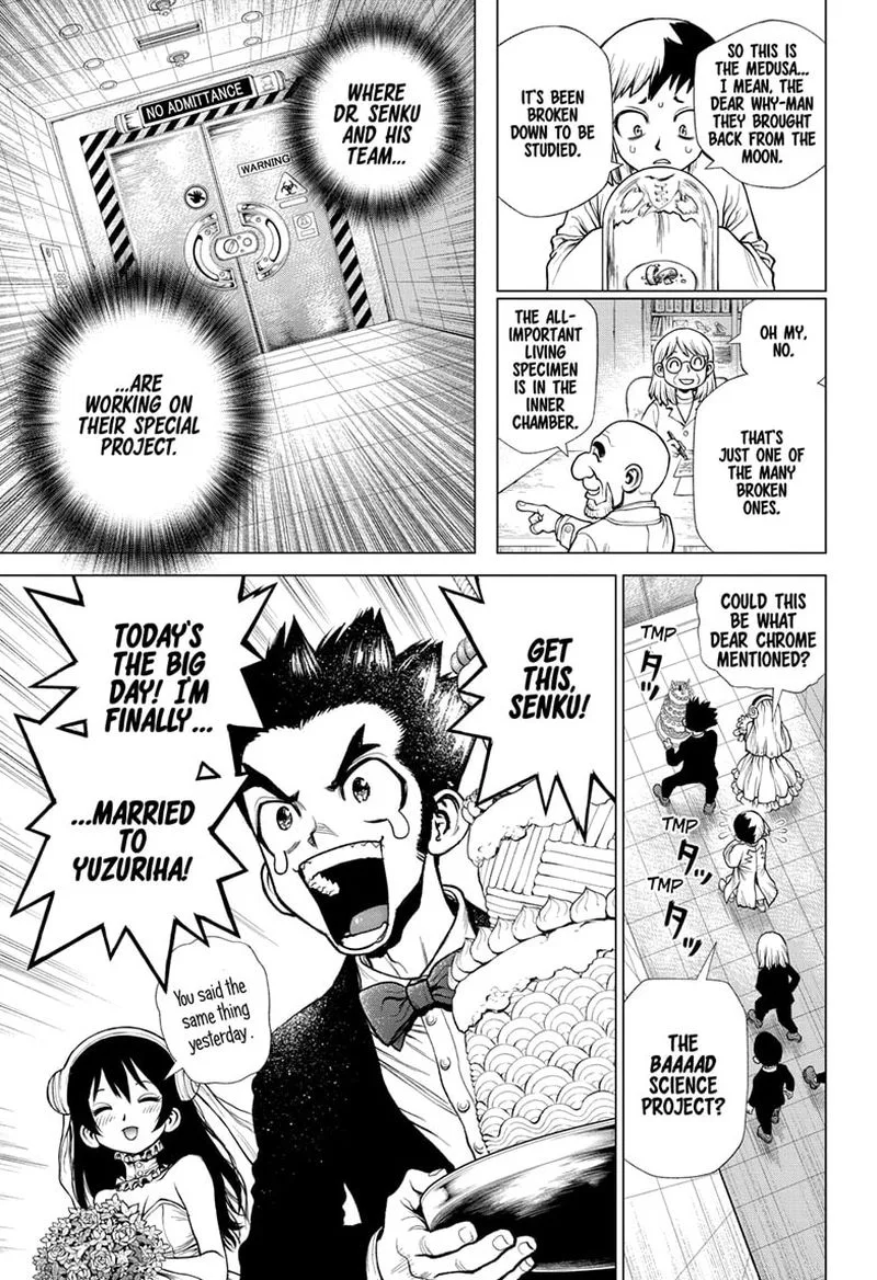 Dr. Stone Chapter 232 page 12