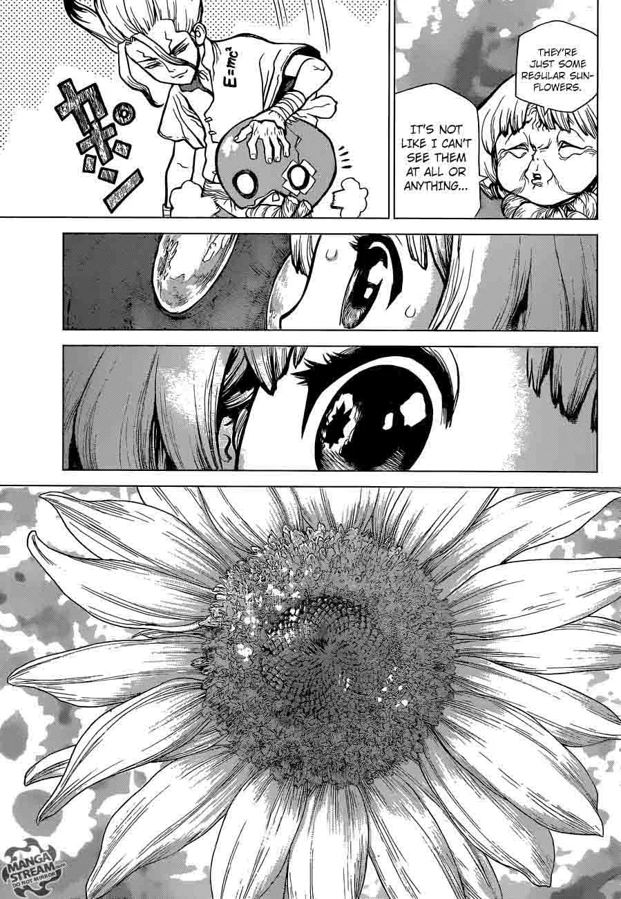 Dr. Stone Chapter 28 page 13