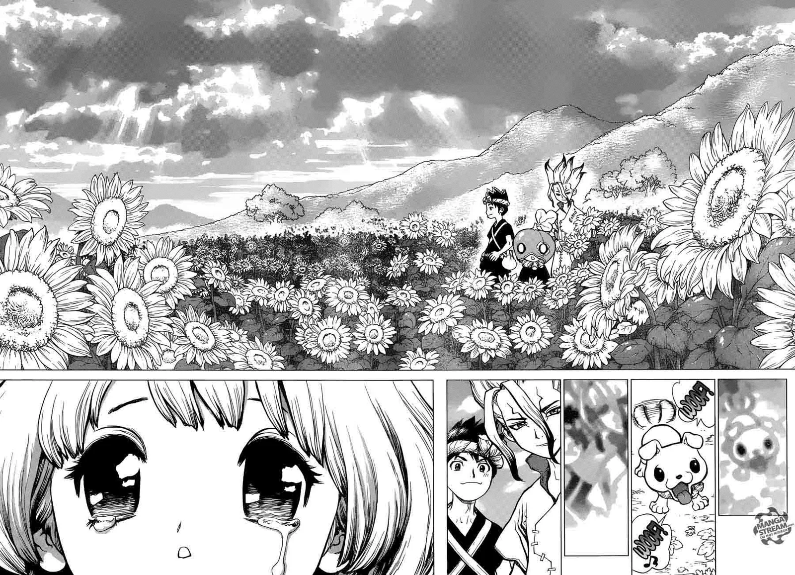 Dr. Stone Chapter 28 page 14
