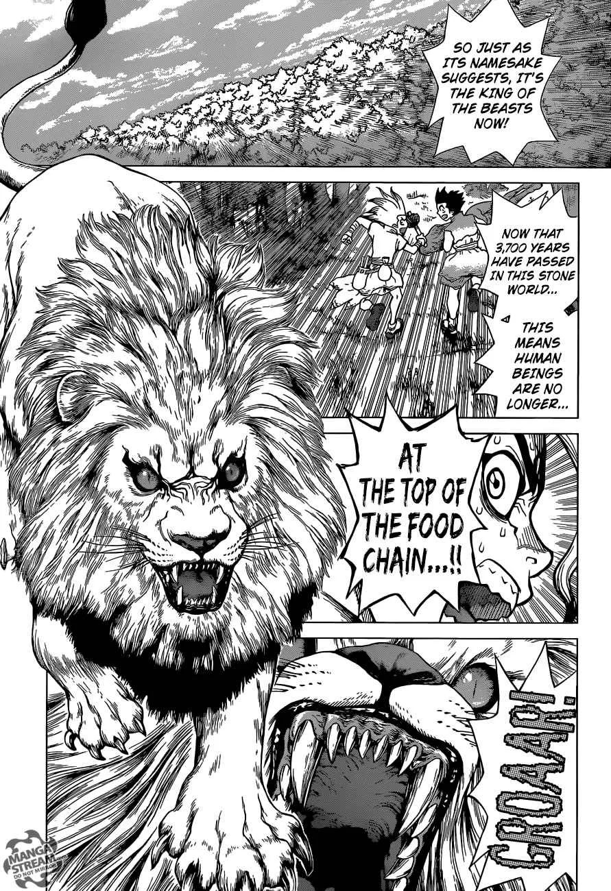 Dr. Stone Chapter 3 page 7