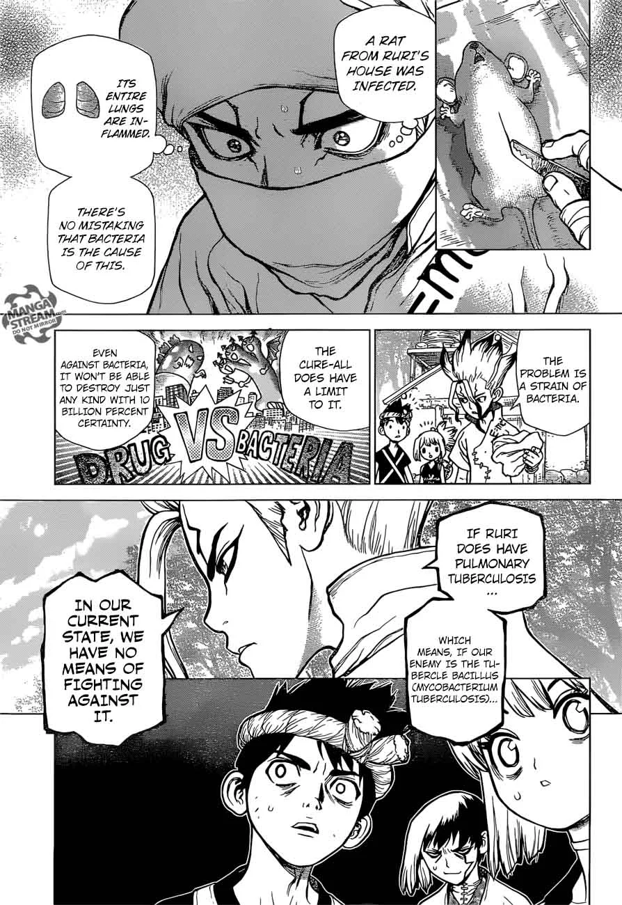 Dr. Stone Chapter 41 page 5