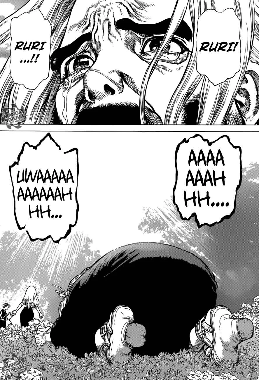 Dr. Stone Chapter 41 page 15