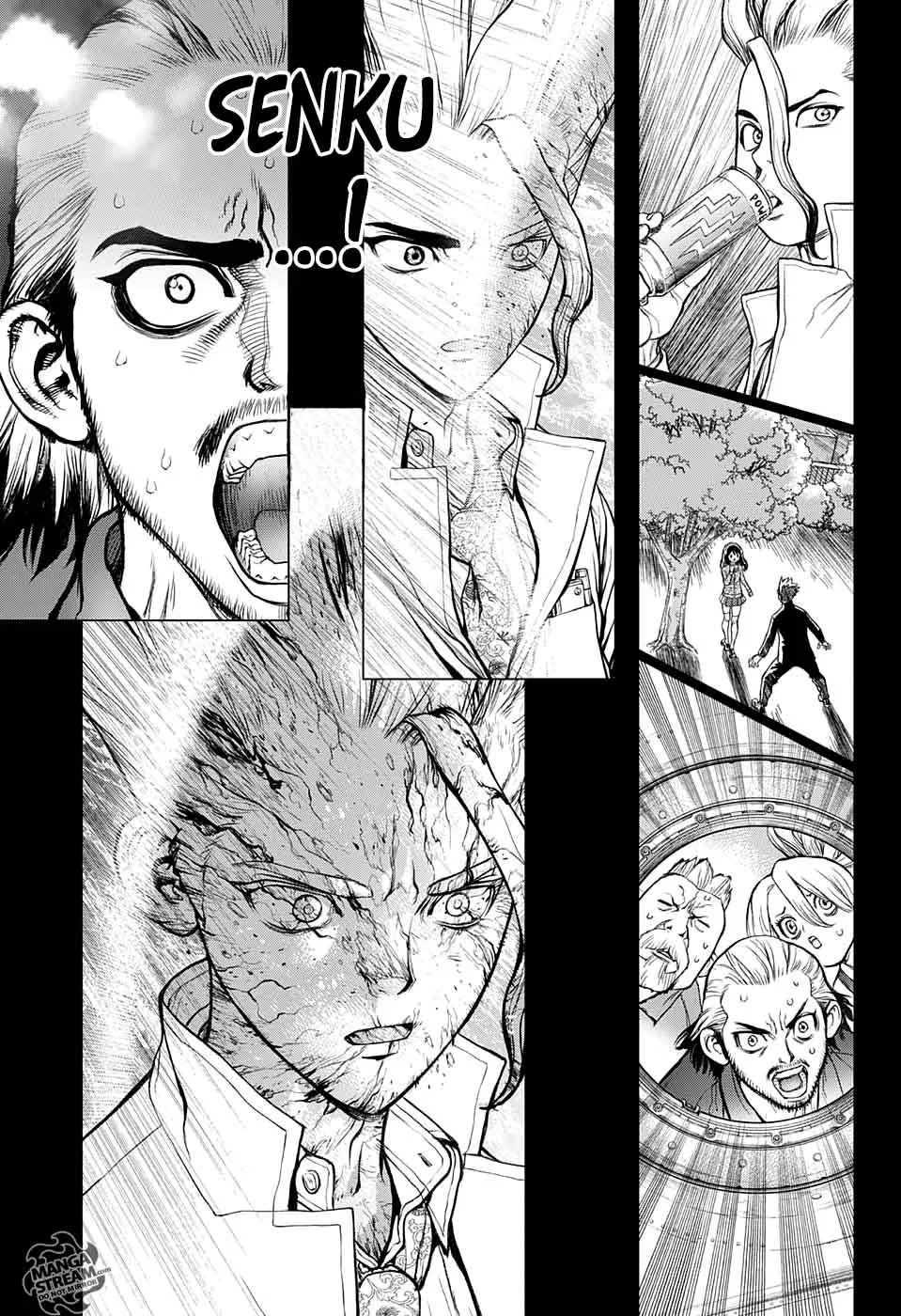 Dr. Stone Chapter 43 page 12