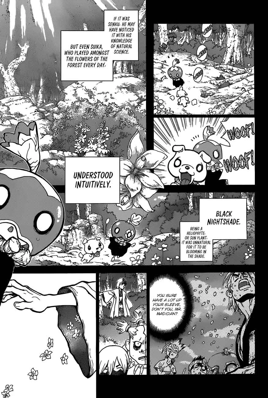 Dr. Stone Chapter 48 page 15