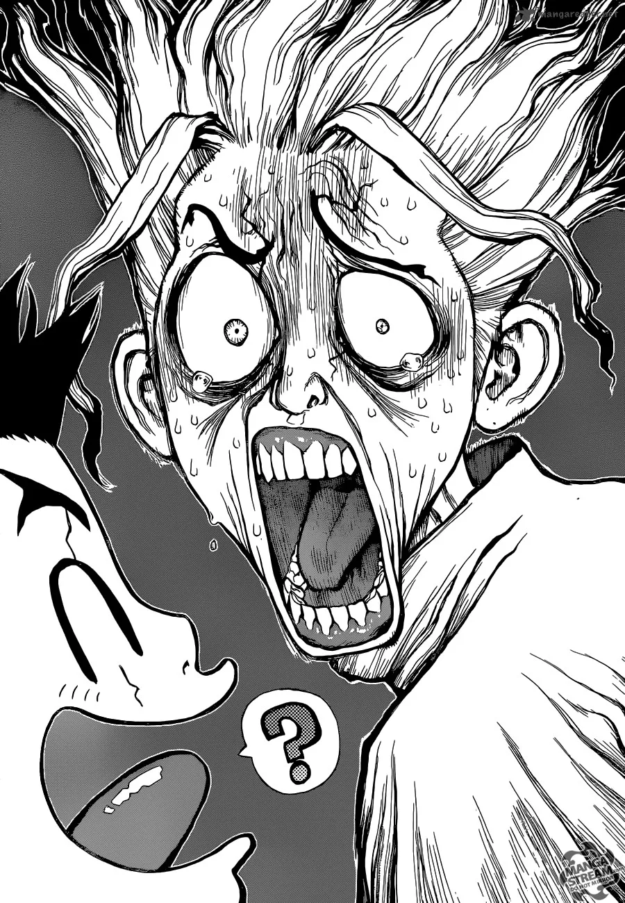 Dr. Stone Chapter 5 page 2