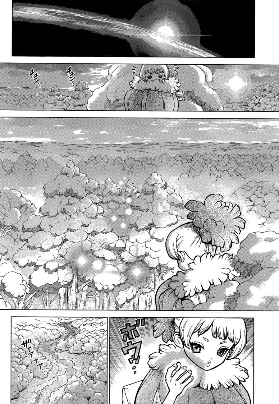 Dr. Stone Chapter 63 page 10