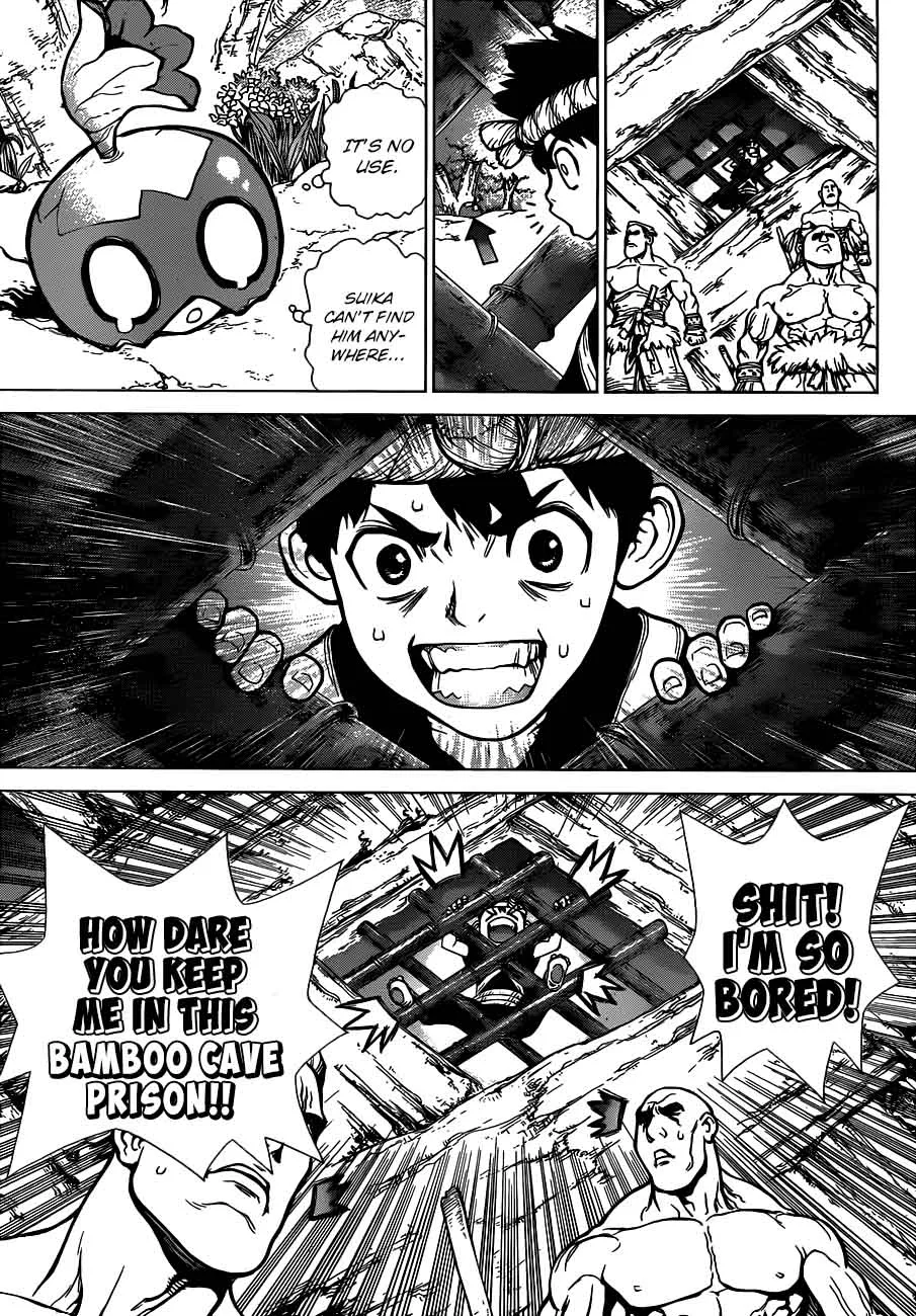 Dr. Stone Chapter 69 page 14