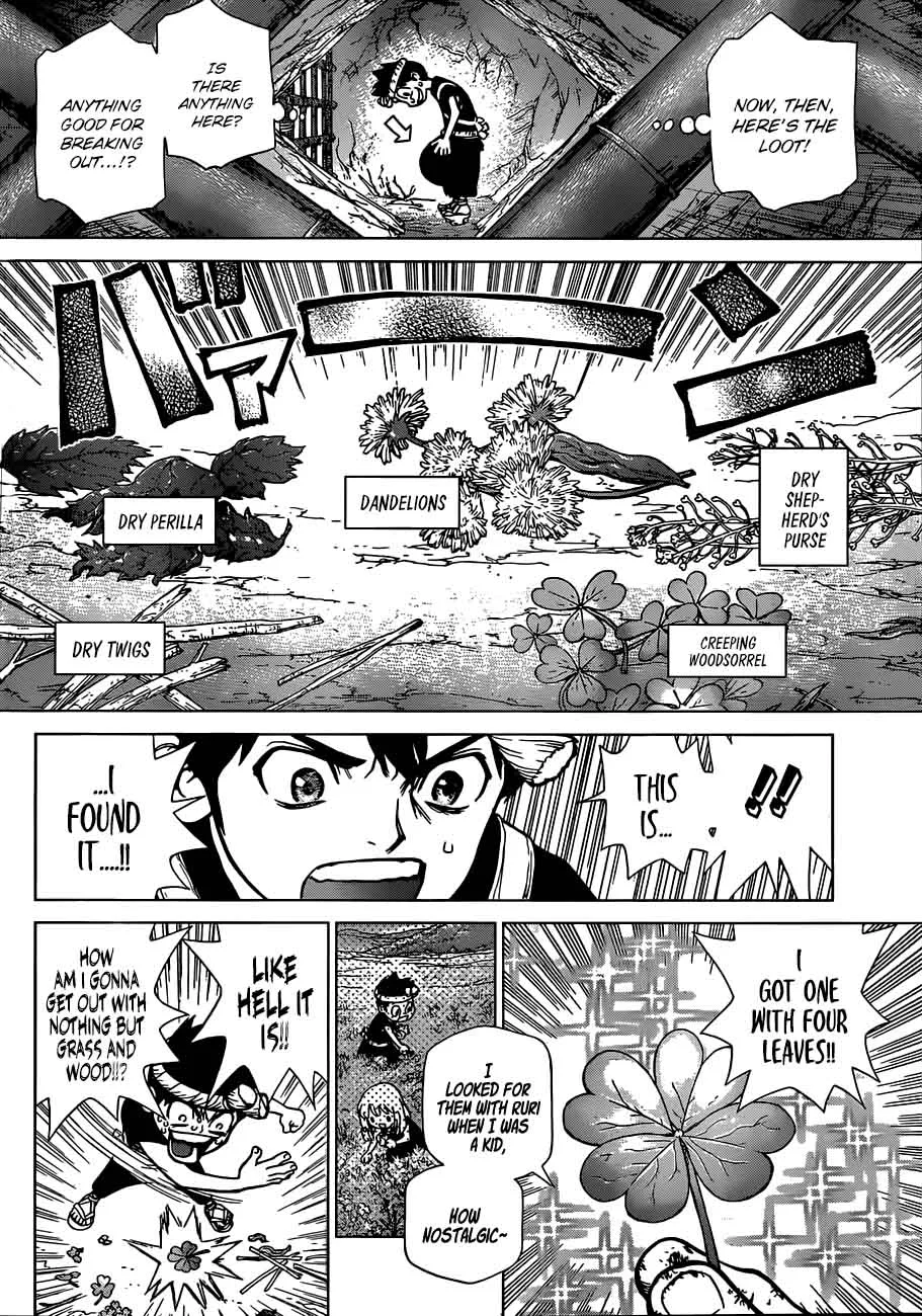Dr. Stone Chapter 71 page 7
