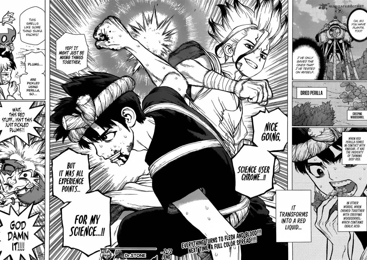 Dr. Stone Chapter 72 page 17